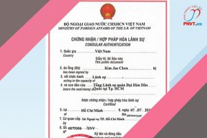 Thủ tục hợp pháp hóa lãnh sự hồ sơ để sử dụng ở Việt Nam