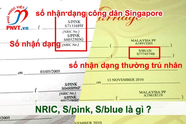 NRIC, S/pink, S/blue là gì trong kết hôn Singapore