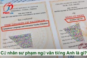 cử nhân sư phạm ngữ văn tiếng anh là gì