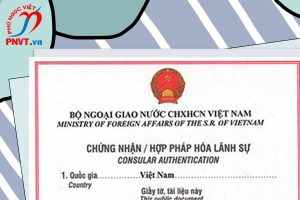 hợp pháp hóa lãnh sự Freezing Certificate