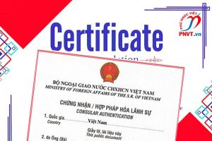 hợp pháp hóa lãnh sự Producer certificate